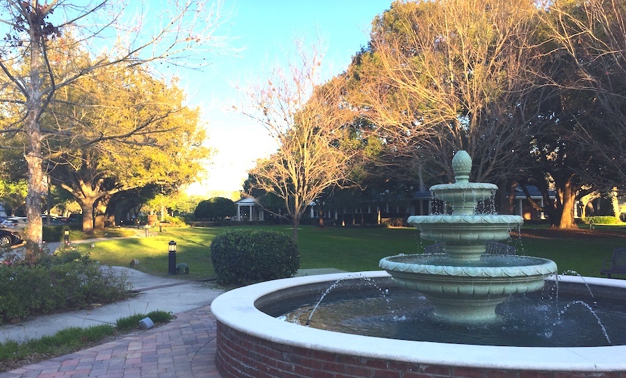 A Day in the Life Calling Lake Mary, Florida Home